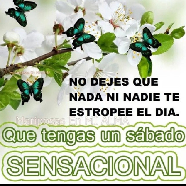 12540612205_169c5a123d_z