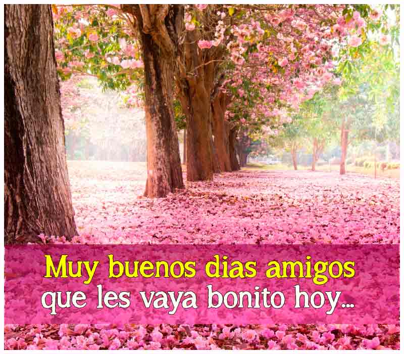 buenos días amigos que todo sea bendecido por Dios