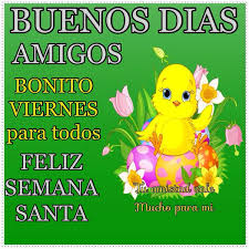 pollito amarillo con flores y frases de feliz viernes