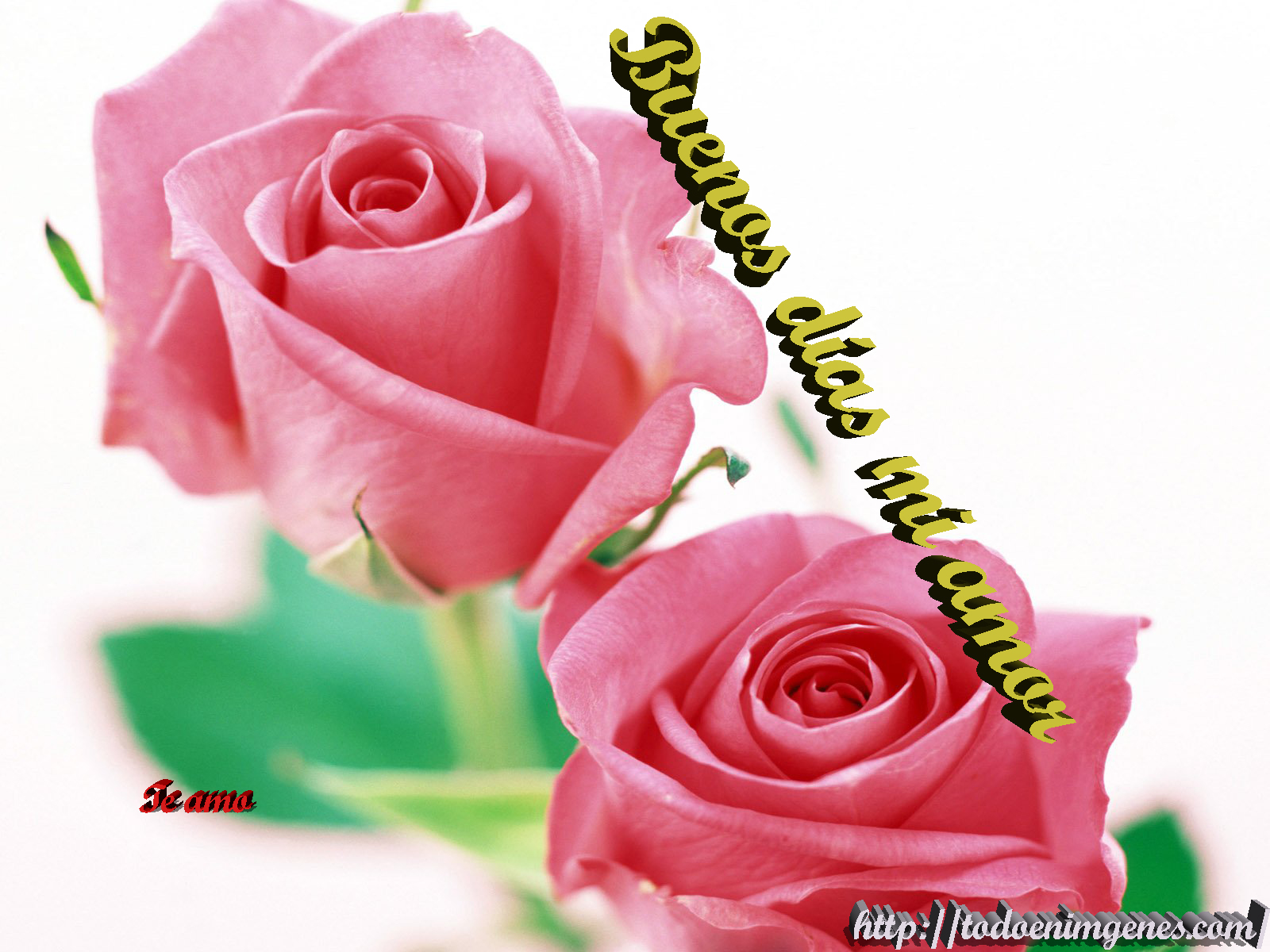 buenos días amor de mi vida te amo jpg