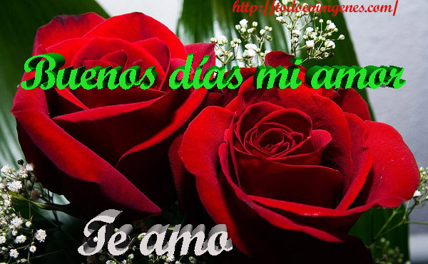 buenos días amor te amo más que a mi vida