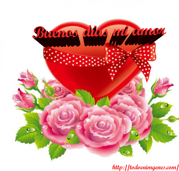 ▷ Imágenes de buenos días amor