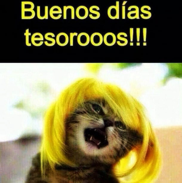 buenos-dias-chistosas