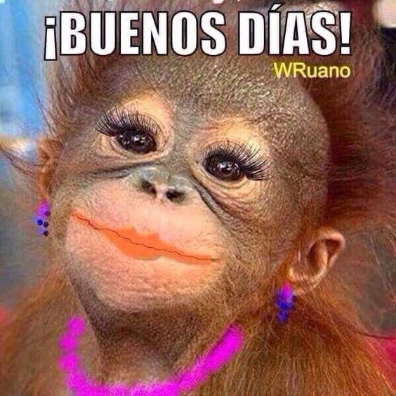 buenos-dias-chistosas-4