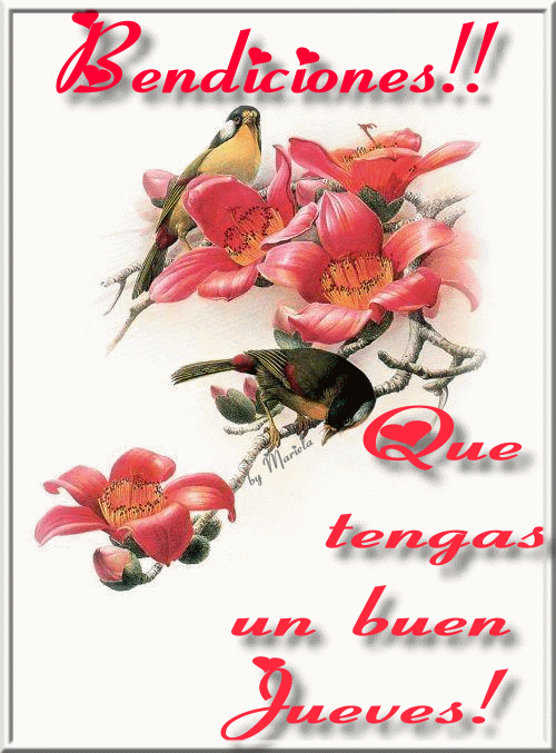 ▷ Imágenes de buenos días feliz jueves