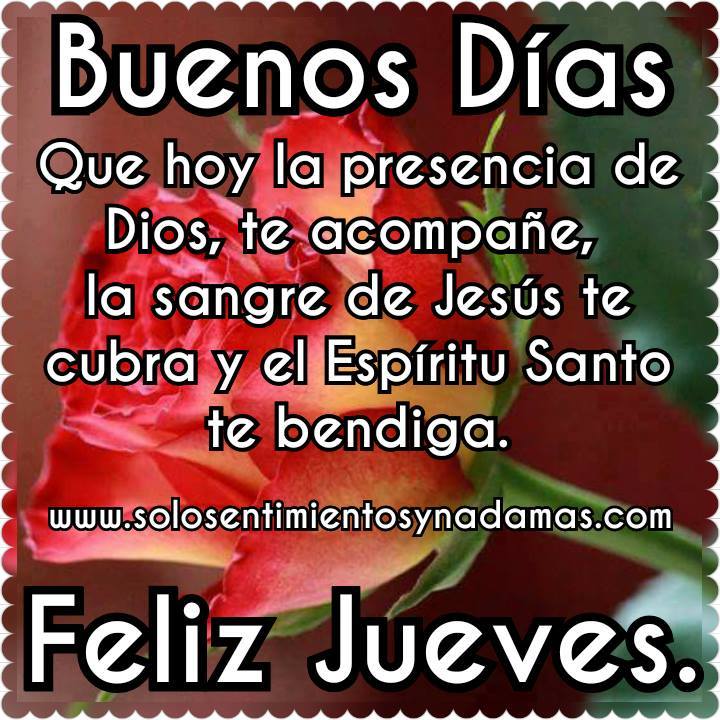 Rosa roja con frases cristianas de feliz jueves