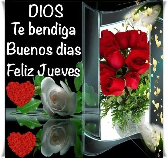 ▷ Imágenes de buenos días feliz jueves dios te bendiga