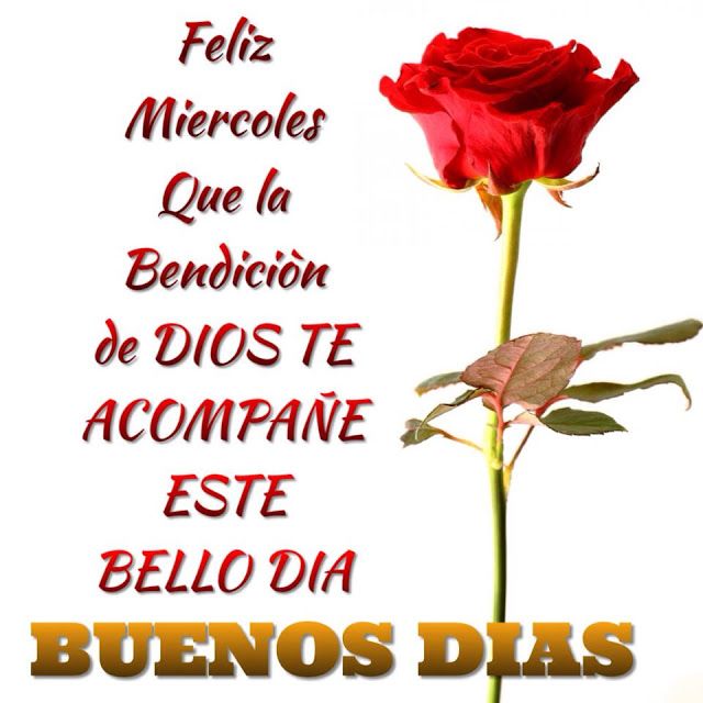 ▷ Imagenes de buenos días feliz miércoles