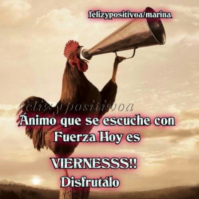 I7hh8l6hZDKwmtEYoP7fRMUetbv5Bk6s_med