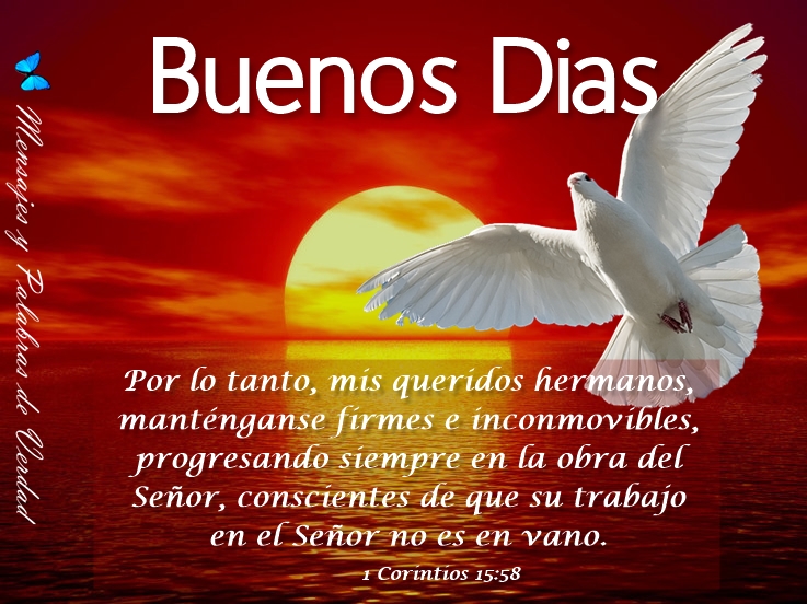 ▷ Imágenes de buenos días hermosas