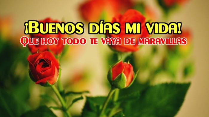 ▷ Imágenes de buenos días románticas