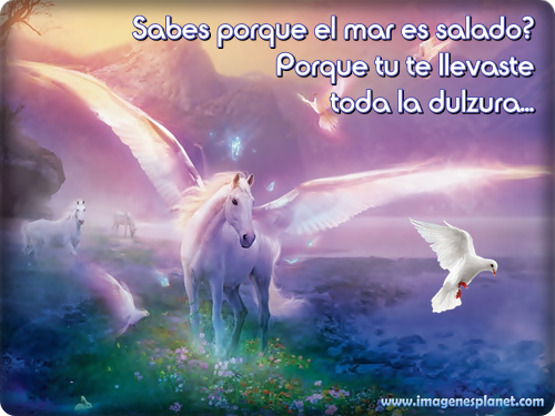 ▷ Imágenes de caballos con frases