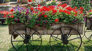 ▷ Imagenes de decoraciones de jardines rusticos