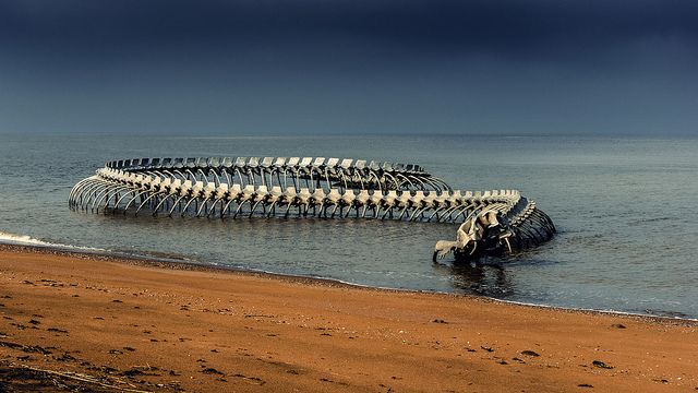 Serpiente-del-océano-3