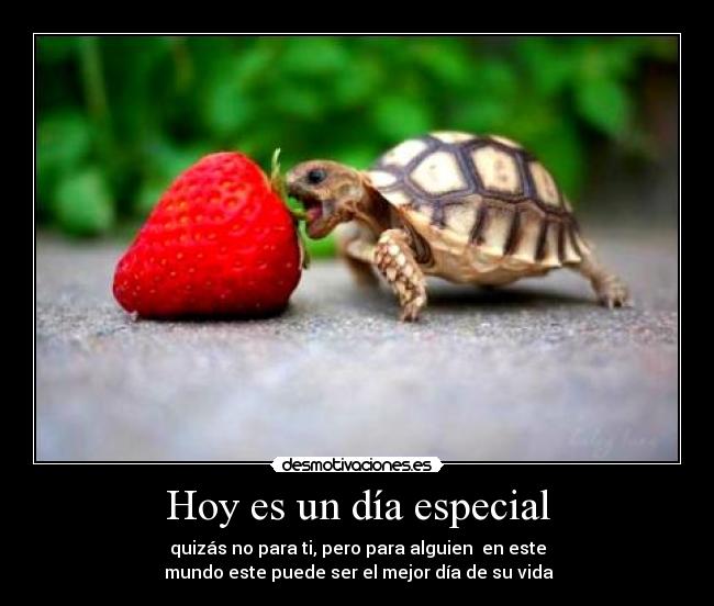 ▷ Imágenes de es el día más especial para mi