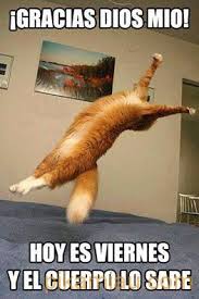 es-vinernes-y-el-cuerpo-lo-sabe-1