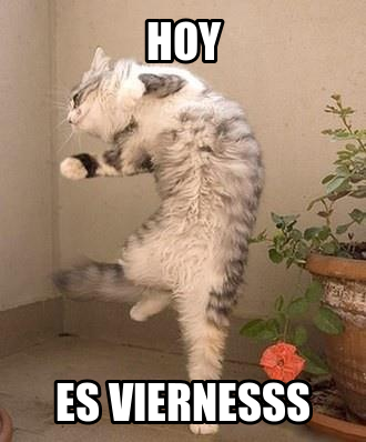 es-vinernes-y-el-cuerpo-lo-sabe-6