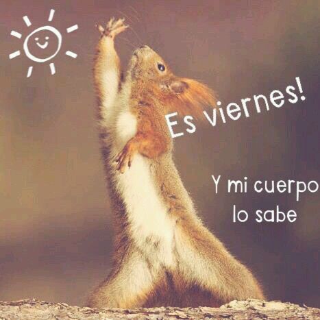 ▷ Imágenes de es viernes y el cuerpo lo sabe