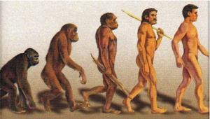 ▷ Imágenes de evolución humana