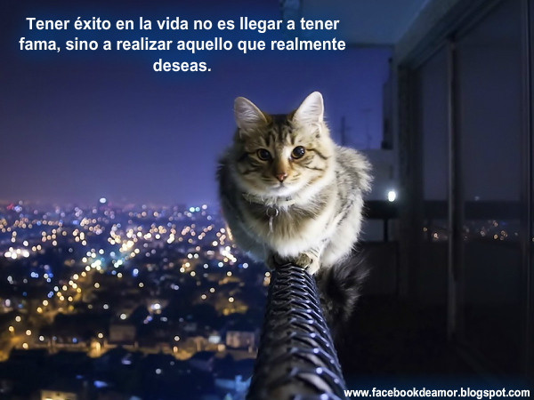 frases de exito para tu facebook