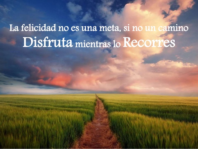 en-busca-de-la-felicidad-6-638