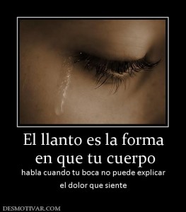 Imágenes de felicidad y tristeza con frases