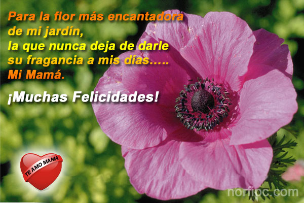 para-la-flor-mas-encantadora-mi-mama