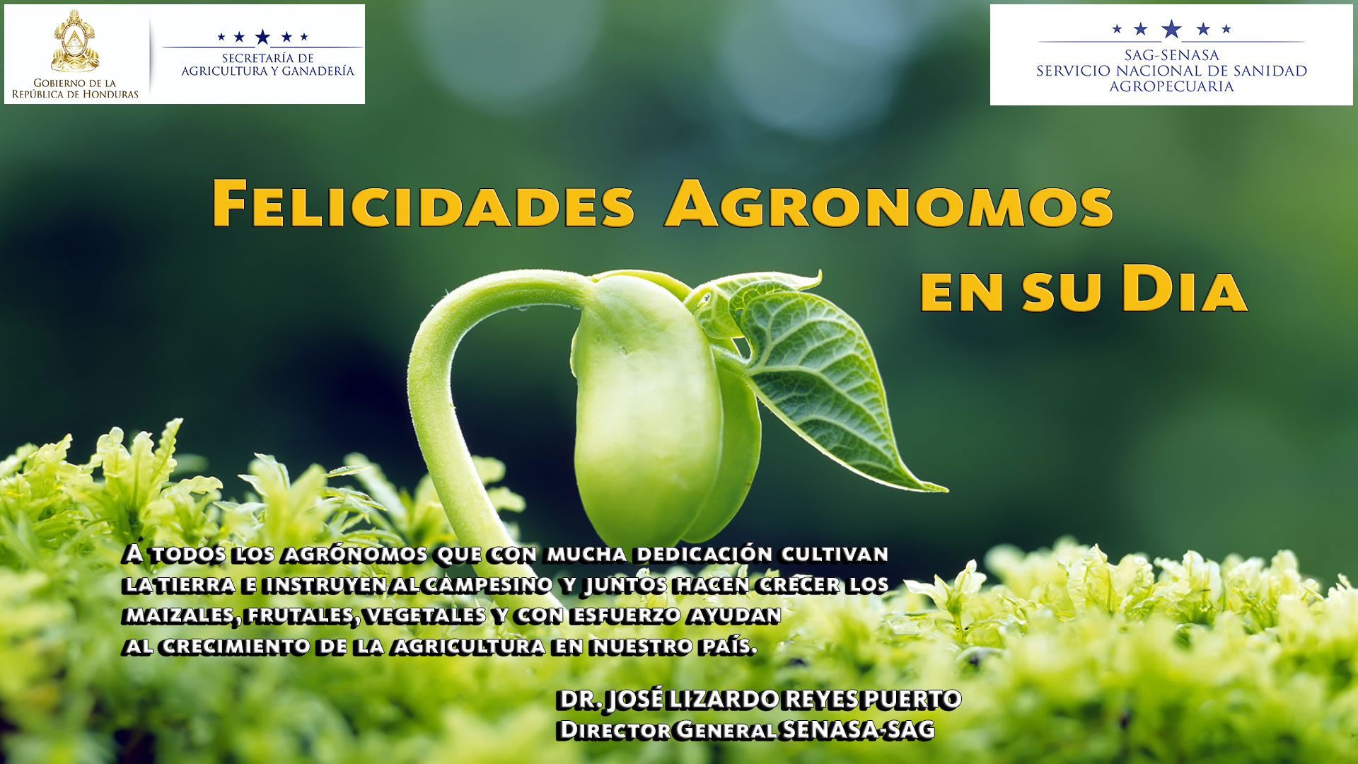 diadelagronomo-