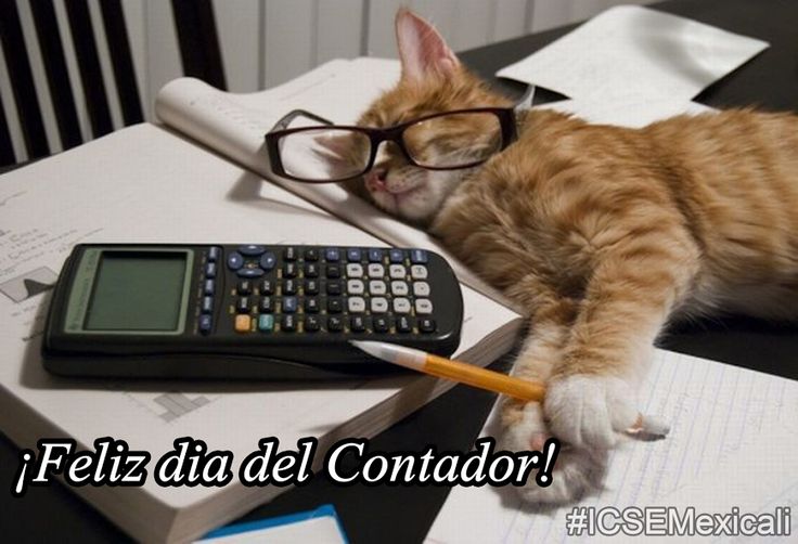 ▷ Imágenes de feliz día del contador