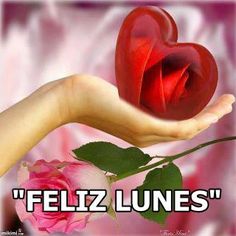 ▷ Imágenes de feliz día lunes