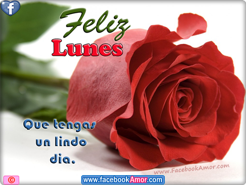 feliz-dia-lunes-para-facebook