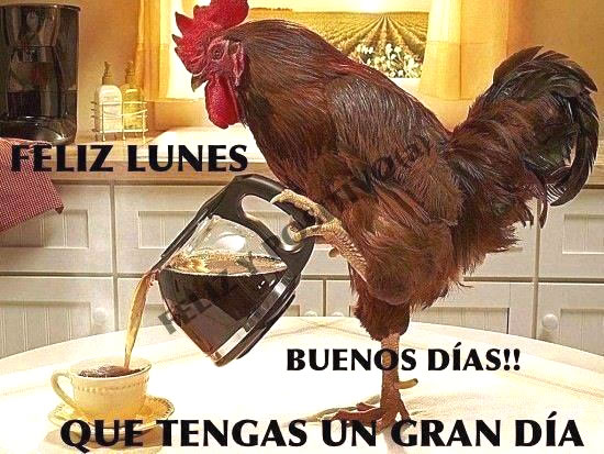 ▷ Imágenes de feliz día lunes