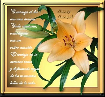 imagenes-de-feliz-semana-santa-285674_234081744_29-1_H083052_L