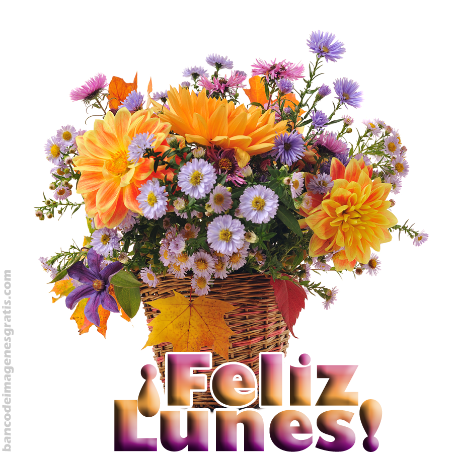 feliz-lunes-mensajes-dias-de-la-semana-compartir