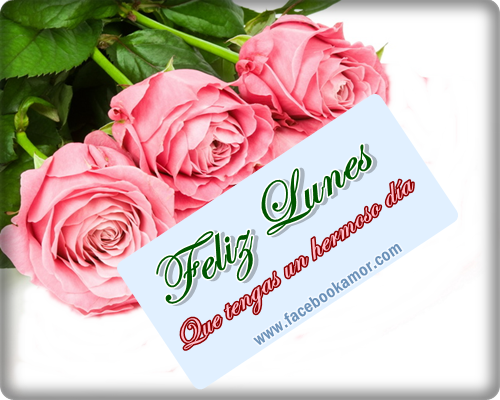 feliz-lunes-para-facebook