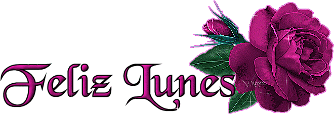 foto-de-feliz-lunes-con-rosas-prupuras