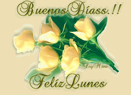 imagenes-de-buenos-dias-feliz-lunes-6