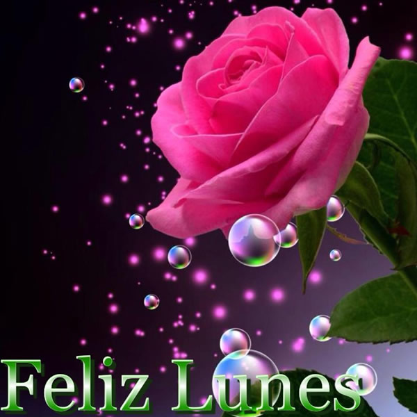 ▷ Imágenes de feliz lunes con rosas