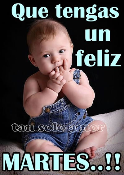 ▷ Imágenes de feliz martes chistosas