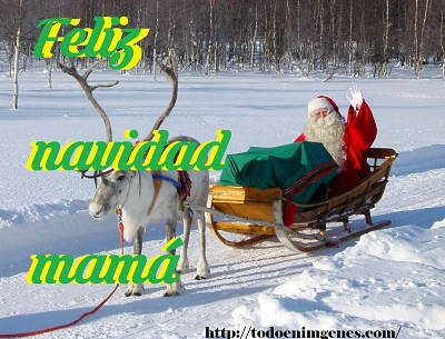 Feliz navidad mamá