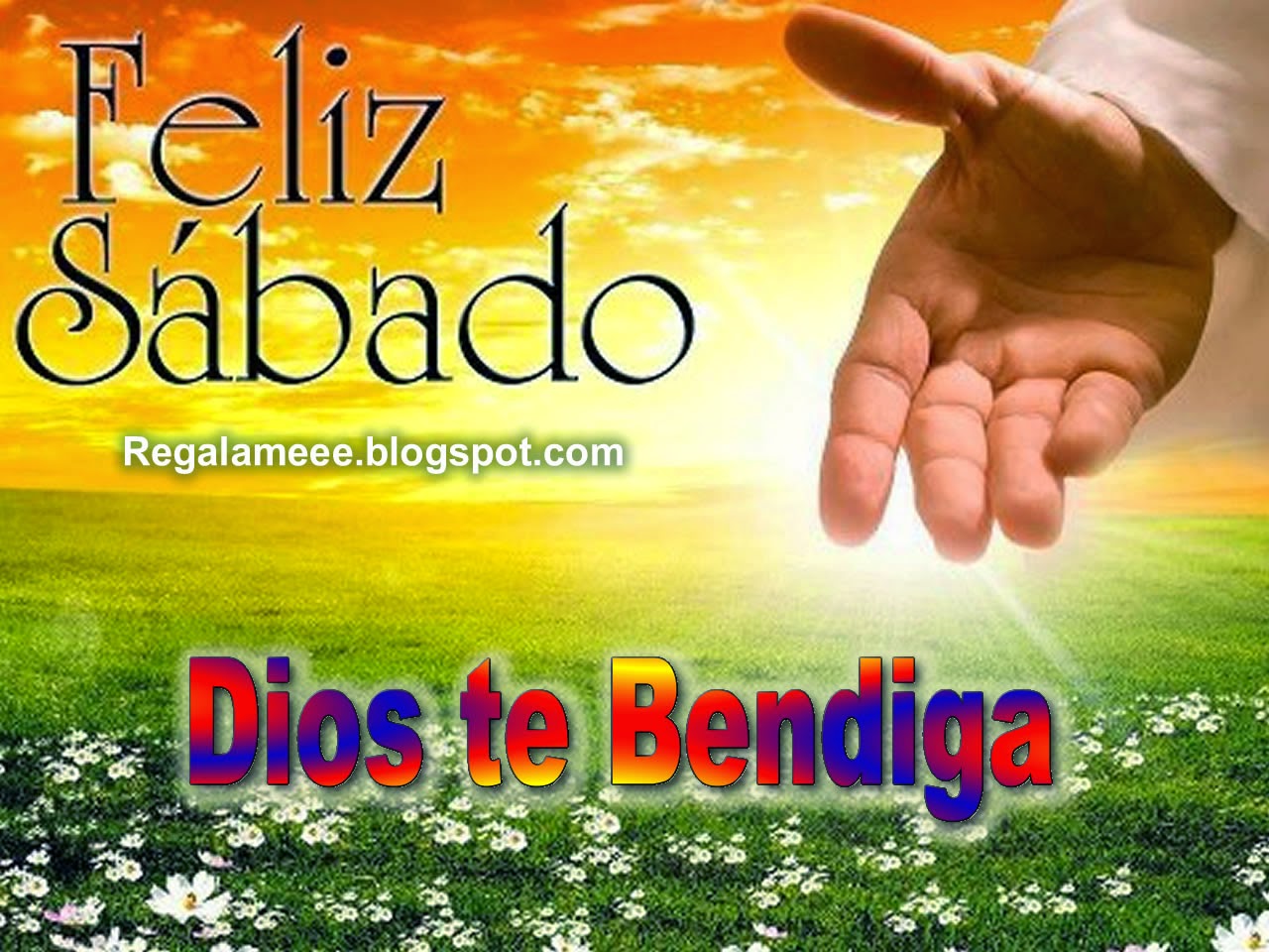 ▷ Imágenes de feliz sábado