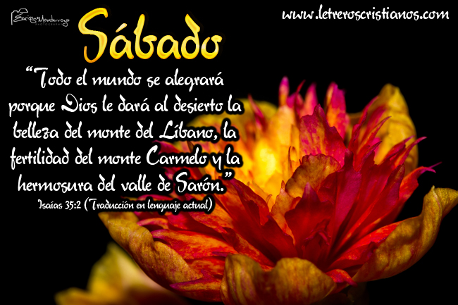 feliz-sábado-bendiciones 3