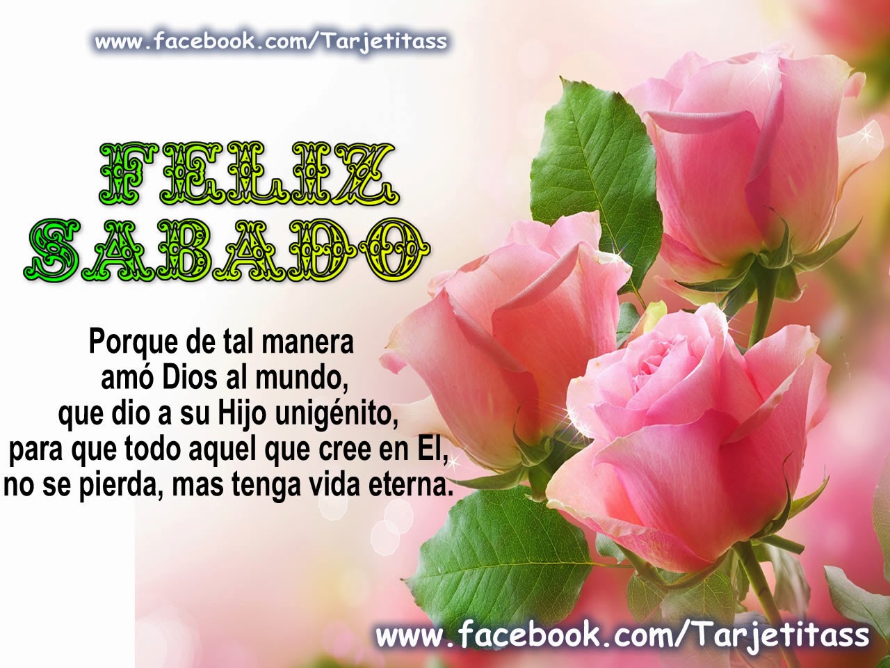 feliz-sábado-bendiciones 4