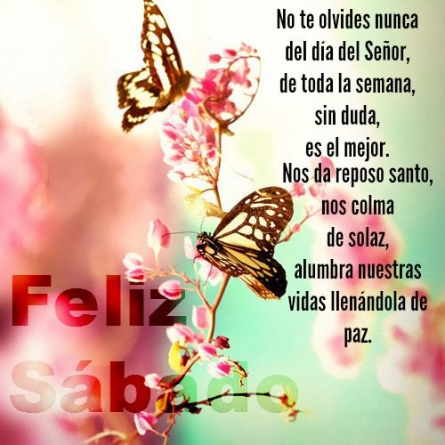 feliz-sábado-bendiciones 7