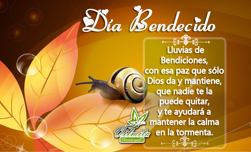 feliz-sábado-bendiciones 9