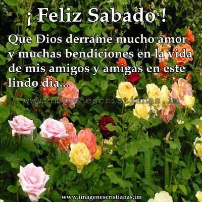 ▷ Imágenes de feliz sábado bendiciones