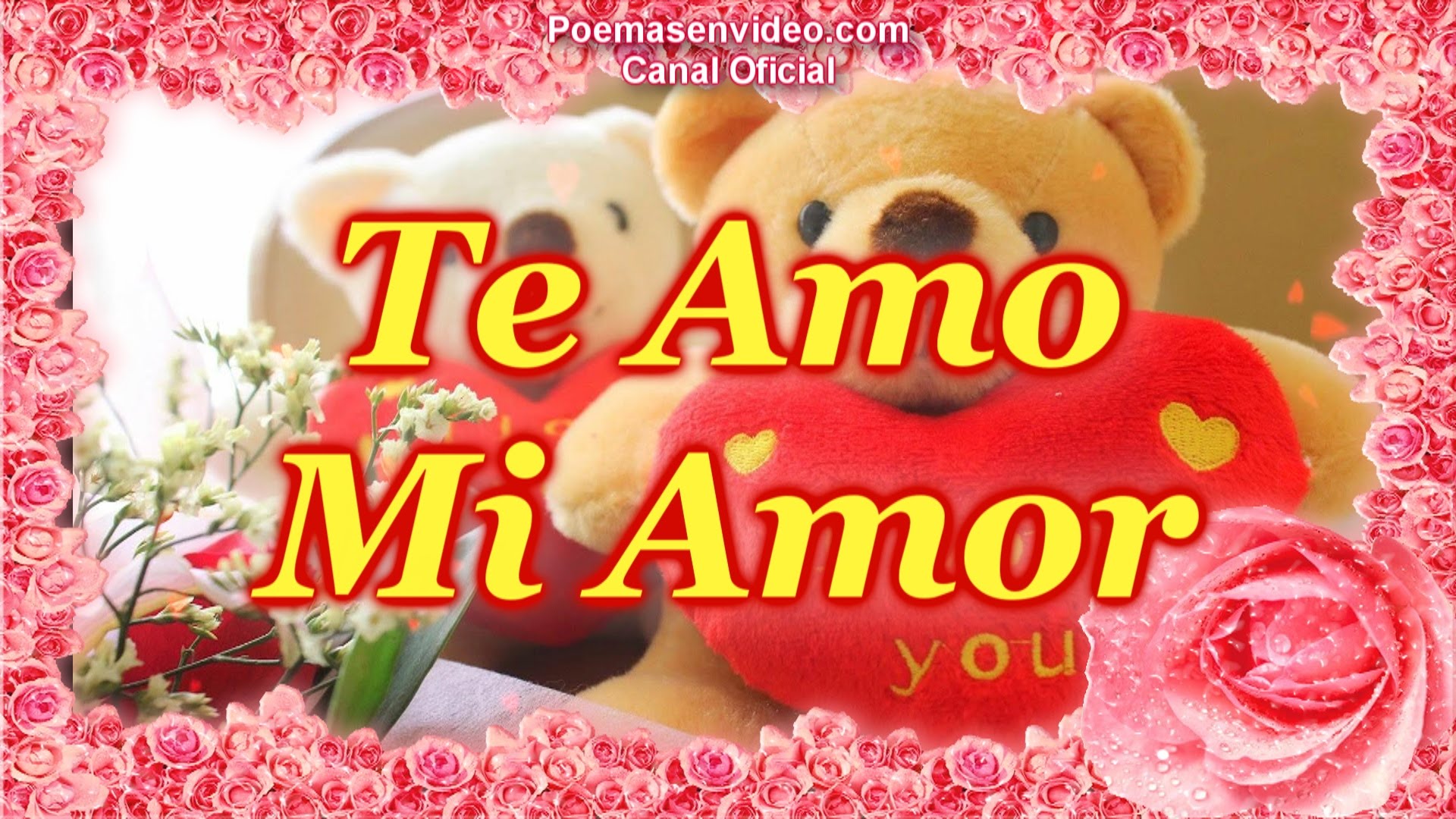 Rosas con frases te amo