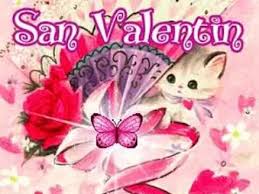 Gatito blanco con frases