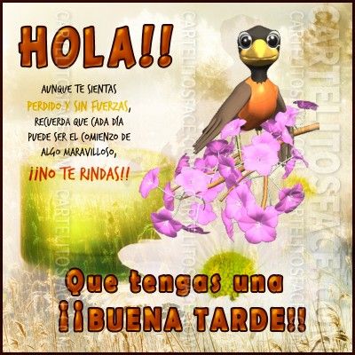 ▷ Imágenes de feliz tarde de domingo