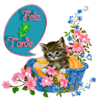 imagenes-buenas-tardes-feliz-tarde-buena-tarde-35
